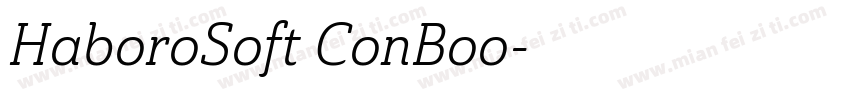 HaboroSoft ConBoo字体转换